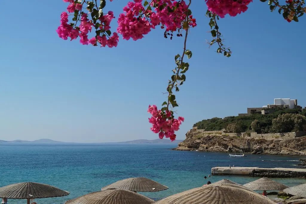 Amazing View Hotel Apartments Agios Stefanos Avliotes